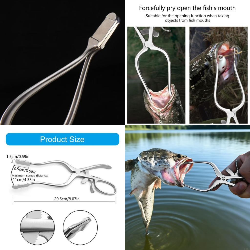 効率的な取り扱いのための広い開口部を備えた魚の口オープナーフ - Fishing Equipment Price のレビューと価格